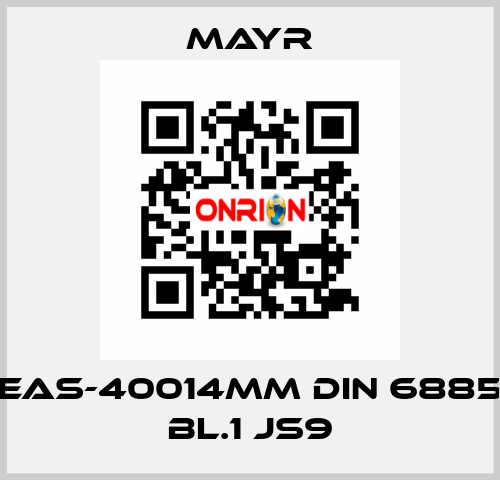 EAS-40014MM DIN 6885 BL.1 JS9 Mayr