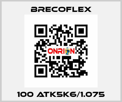 100 ATK5K6/1.075 Brecoflex