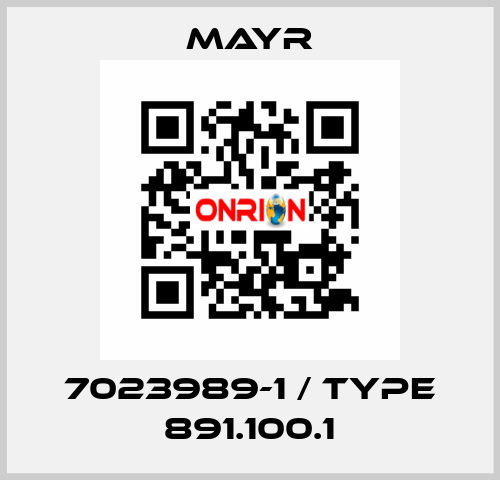 7023989-1 / Type 891.100.1 Mayr