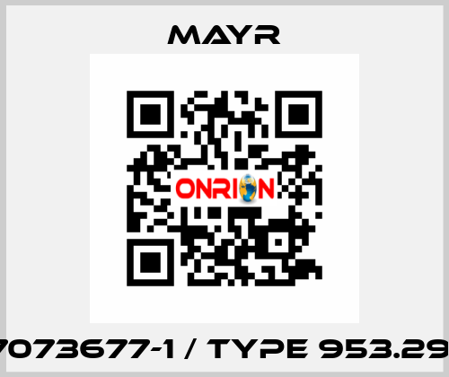 7073677-1 / Type 953.291 Mayr