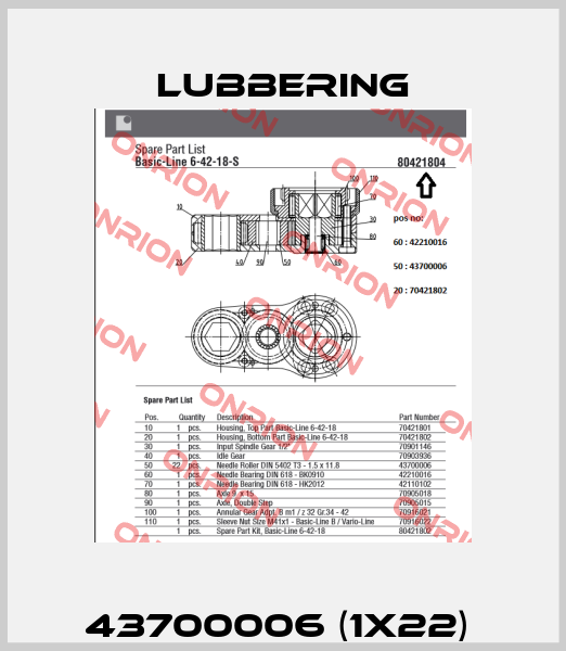 Lubbering-43700006 (1x22)  price