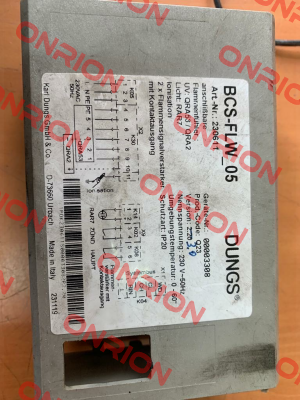 230611 (BCS-FLW-05) Dungs